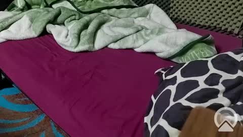 cezar online show from 02/23/25, 08:33