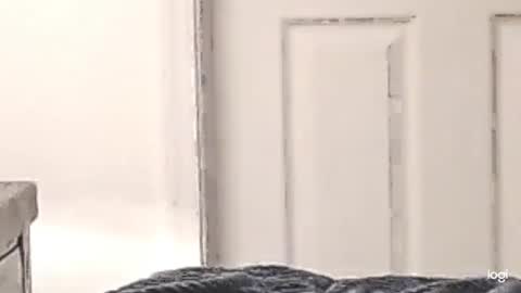 cfnmkinky28 online show from 12/24/24, 03:05