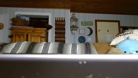 cguffey2284 online show from 12/29/24, 07:00