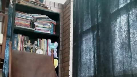 cguffey2284 online show from 02/18/25, 04:05