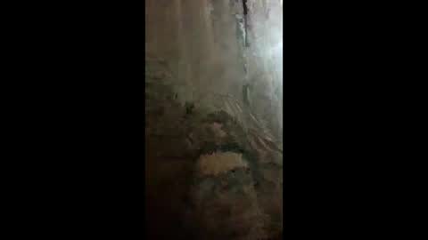 Snapshot of chacal6311 chatting on 02/09/26, 01:31 chacal6311 online show from 02/09/26, 01:31