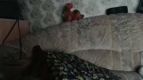 Snapshot of chacoa chatting on 01/18/26, 12:09 chacoa online show from 01/18/26, 12:09