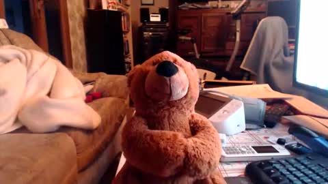 Snapshot of chacoa chatting on 02/16/26, 04:36 chacoa online show from 02/16/26, 04:36