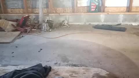 chadr1616 online show from 11/15/25, 03:52