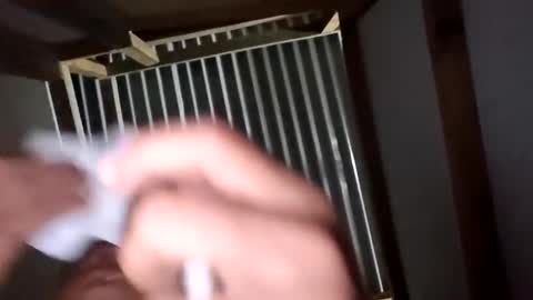 chancherman online show from 12/02/25, 06:41