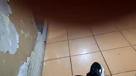 chancherman online show from 01/10/26, 04:25