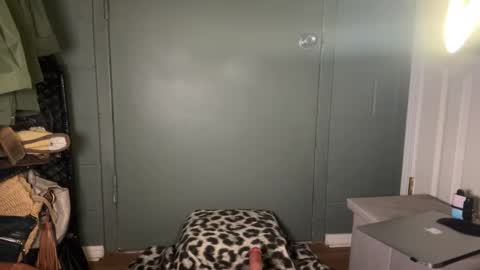 ChanelMaxxx online show from 03/17/26, 05:44