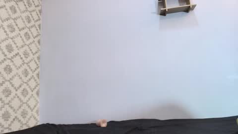 Raquel  online show from 03/10/25, 03:09