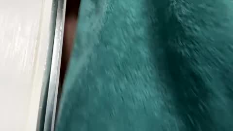 Gary online show from 11/29/25, 08:50