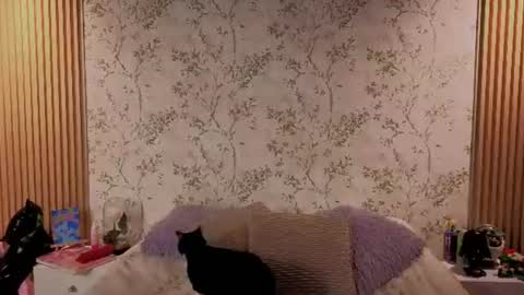 Snapshot of charlote__miller chatting on 07/14/26, 12:00 You honey online show from 07/14/26, 12:00