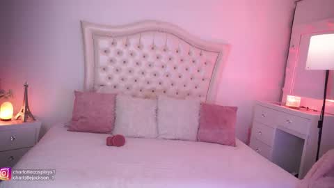 Snapshot of charlottejackson chatting on 03/04/25, 06:04 ill be online tomorrow December 1st online show from 03/04/25, 06:04