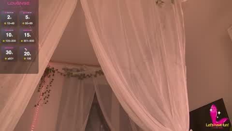 Charlotte online show from 11/20/25, 07:46