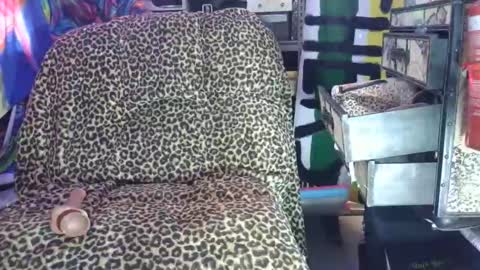 Snapshot of chase_xxxxnx chatting on 03/07/26, 09:50 Sah009XXX online show from 03/07/26, 09:50