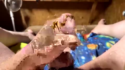 chasepeewee2 online show from 02/16/25, 03:58