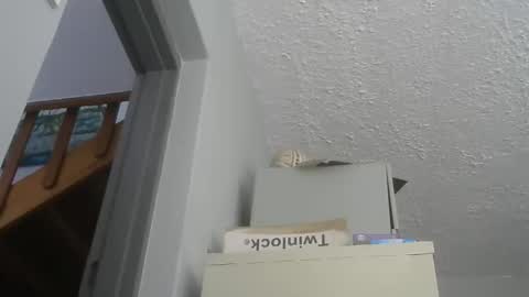 chaturbatordeluxe online show from 12/21/25, 05:47