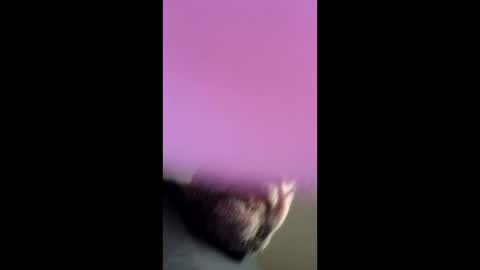 Snapshot of chef4u13 chatting on 04/25/26, 09:01 chef4u13 online show from 04/25/26, 09:01