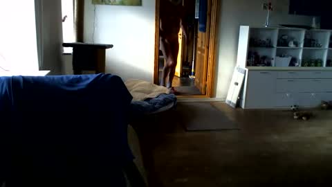 chefben666 online show from 02/14/26, 11:29