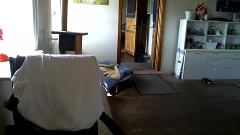 chefben666 online show from 04/11/26, 09:24