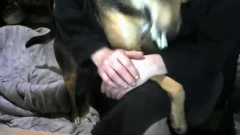 chefy online show from 02/19/26, 09:38