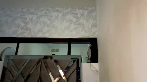 Snapshot of chel_seth chatting on 04/15/26, 02:40 online show from 04/15/26, 02:40