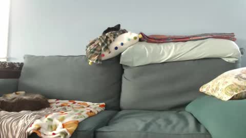 Chelsea online show from 12/27/24, 07:35