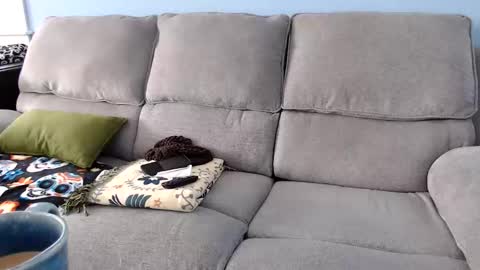 Chelsea online show from 02/02/26, 04:49