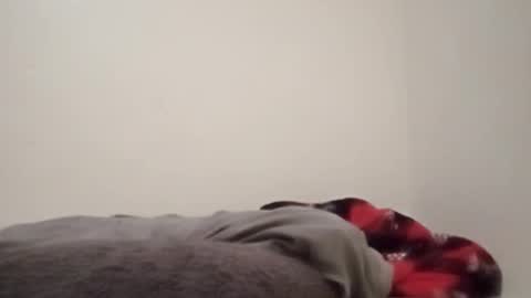 Snapshot of chemicalx_ chatting on 02/04/26, 11:31 ChemicalX online show from 02/04/26, 11:31