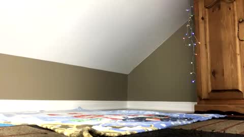 chenovich online show from 01/04/25, 01:42