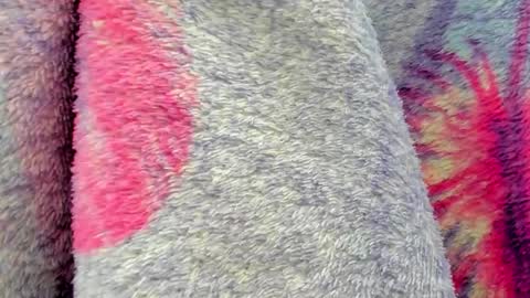 Mia online show from 10/06/25, 09:40