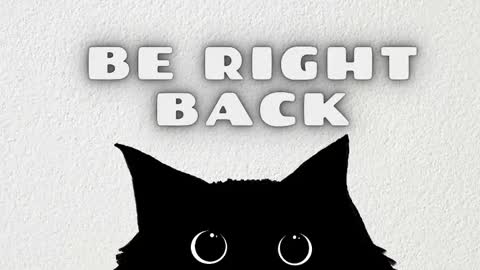 ANNY online show from 02/02/26, 03:27