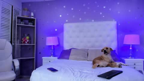 Sussan Cherry  online show from 02/01/25, 04:24