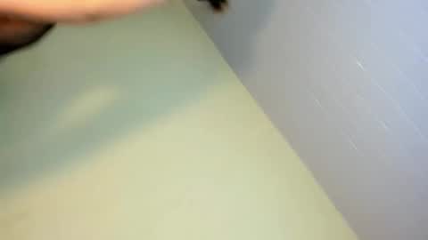 Snapshot of cherrybitex chatting on 02/17/26, 12:12 cherrybitex online show from 02/17/26, 12:12