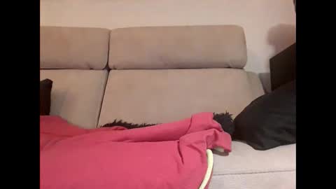 chevy69 online show from 02/04/25, 10:13