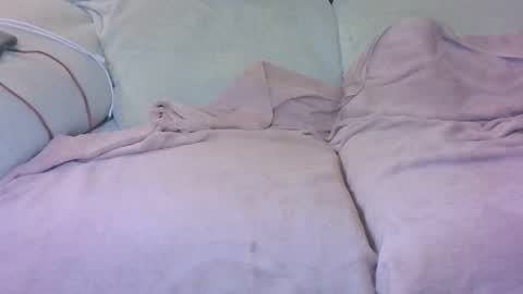 chicotanguita43 online show from 02/26/26, 11:42