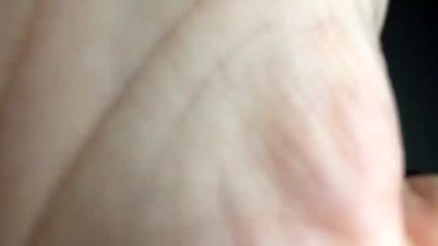 chippytits65 online show from 02/24/25, 05:54