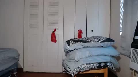 Antonio Brown online show from 12/18/24, 01:23