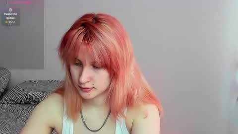 choco_meowx online show from 05/06/26, 08:41