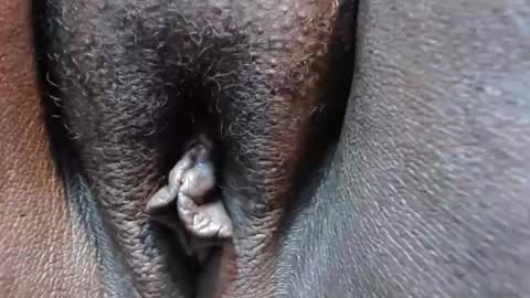 chocolatabig online show from 11/09/25, 06:28