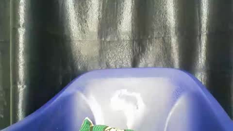 Snapshot of chocoslut22 chatting on 12/14/25, 03:45 chocoslut22 online show from 12/14/25, 03:45