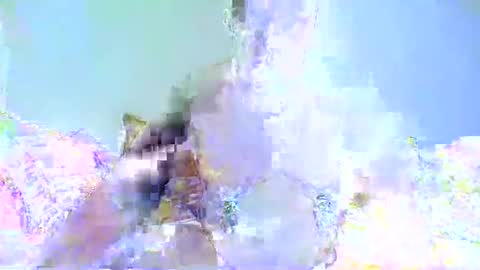 Snapshot of chrispainpig chatting on 01/07/25, 03:33 Chrispainpig torture bdsm masochist slave submissive hardcore anal CBT humiliation online show from 01/07/25, 03:33