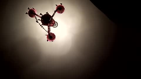 Vicki and Chris online show from 11/01/25, 06:21