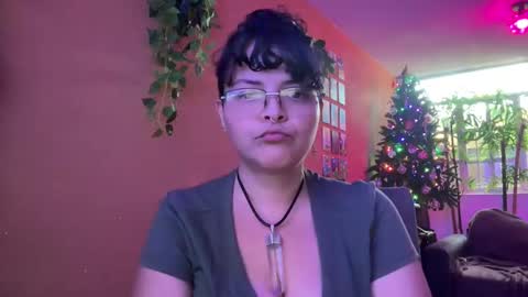 Snapshot of christianvalles chatting on 01/04/25, 11:48 christianvalles online show from 01/04/25, 11:48