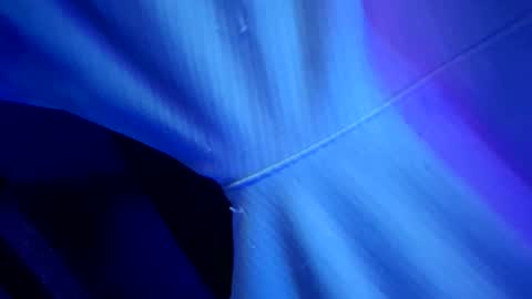 chronicvibez online show from 03/01/26, 12:56