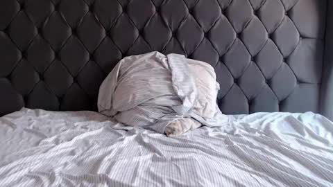 Snapshot of chubbydays chatting on 04/03/26, 07:34 chubbydays online show from 04/03/26, 07:34