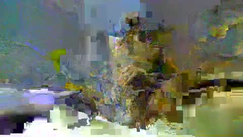 chuck354139 online show from 02/13/25, 03:14