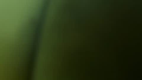 chuckyschick69 online show from 12/03/25, 04:53