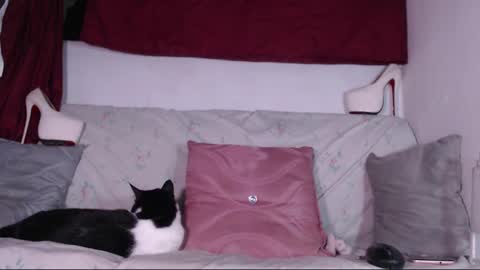 cicimom online show from 01/24/25, 03:32