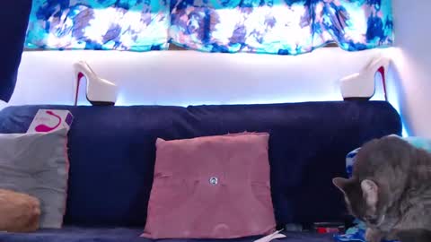 cicimom online show from 02/05/25, 05:20