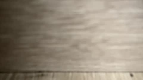 CintiaCollins  online show from 01/21/25, 08:54