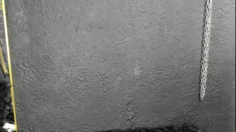 Snapshot of cintyarose chatting on 02/26/26, 01:21 cintyarose online show from 02/26/26, 01:21